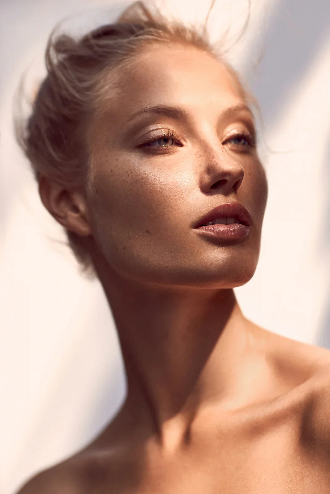 Curated for Longevity